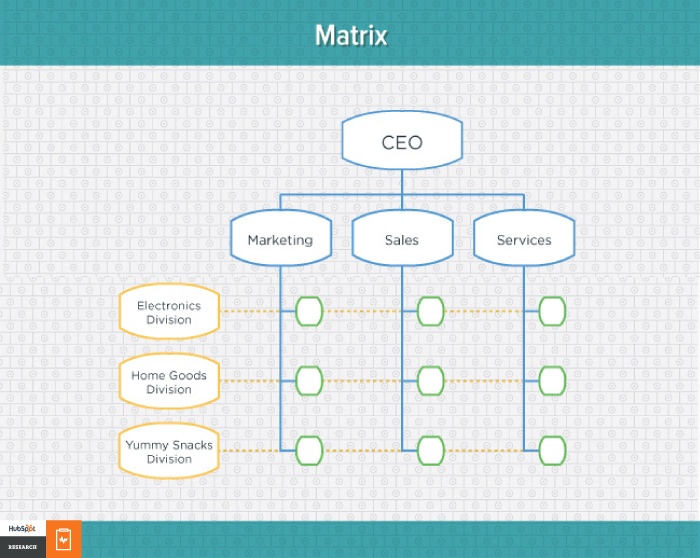 Matrix Organizational Structure